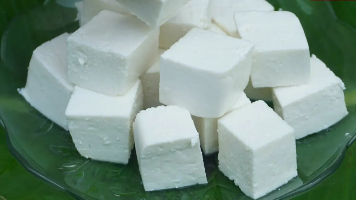How to make Paneer at Home